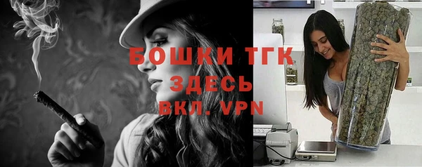 молекула духа Аркадак