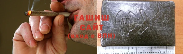 индика Арсеньев