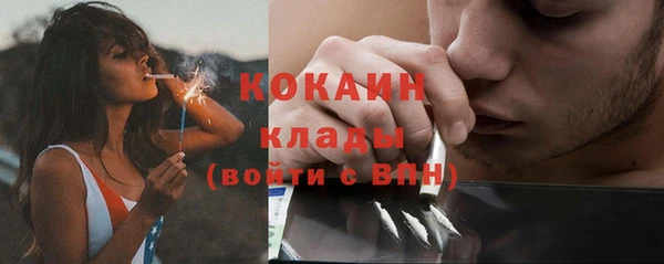 индика Арсеньев