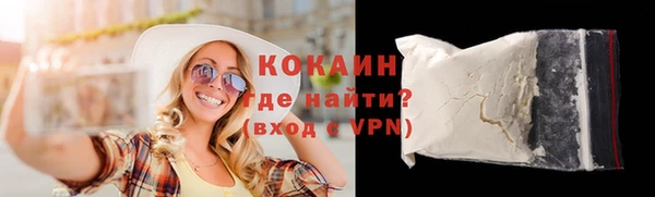 индика Арсеньев