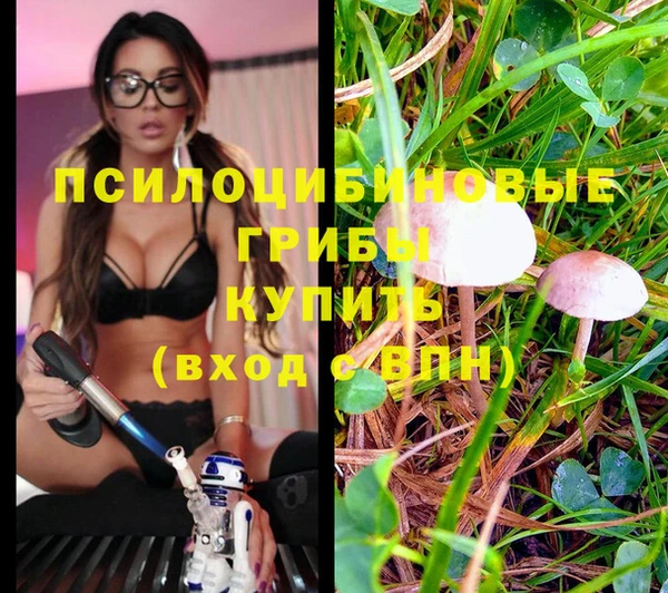 молекула духа Аркадак