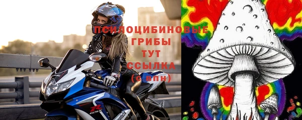 мескалин Осинники