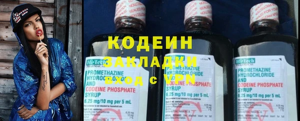 индика Арсеньев