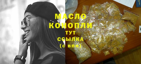 индика Арсеньев
