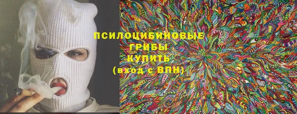 индика Арсеньев