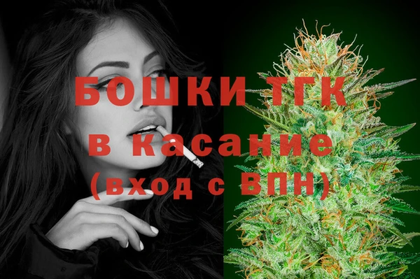 индика Арсеньев