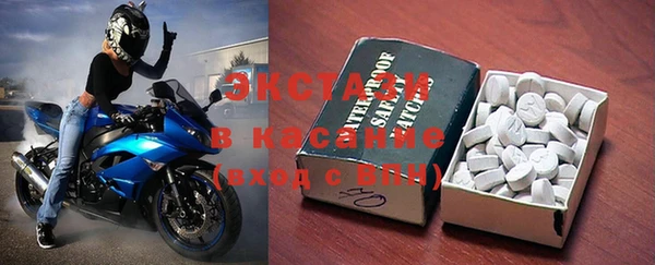 индика Арсеньев